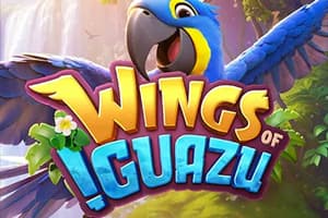 Wings of Iguazu