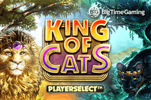 King of Cats